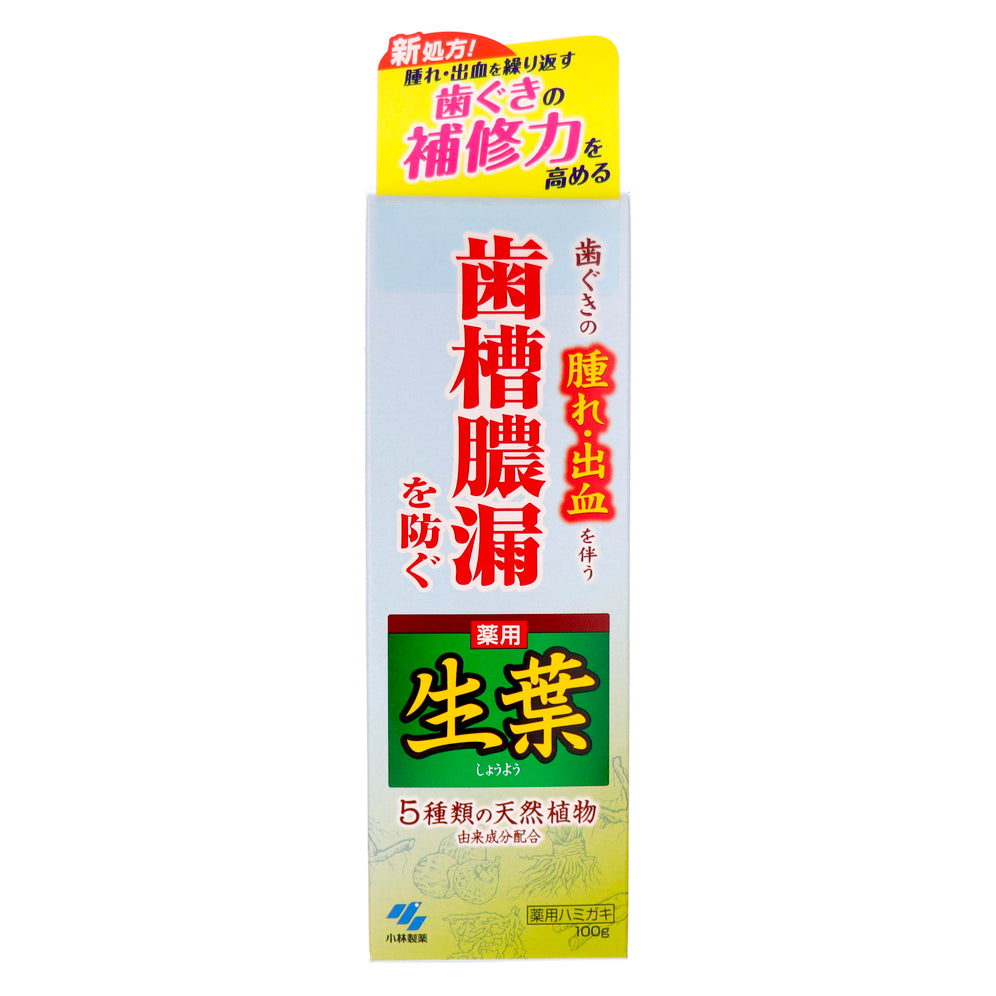 【小林製藥】 生葉潔淨牙膏　100g